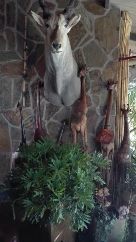 Hostal African Kwela Guest House