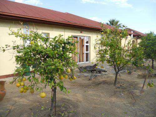 Hostal Petra's Gaestehaus