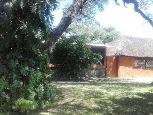 Camp Hogo Kavango