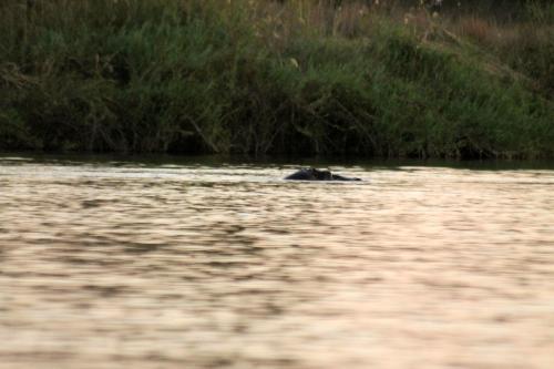 Camp Hogo Kavango