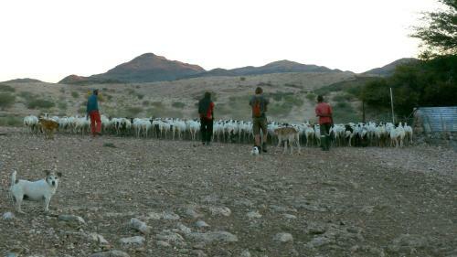 Agroturismo Rooiklip Guestfarm