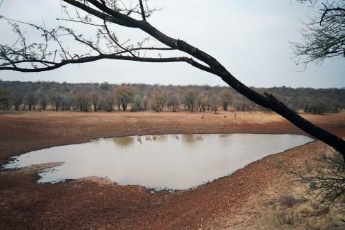 Onduri Lodge