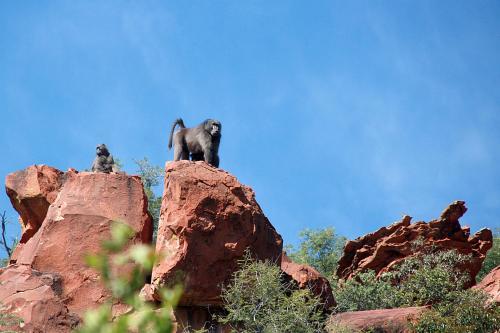 Lodge Waterberg Wilderness