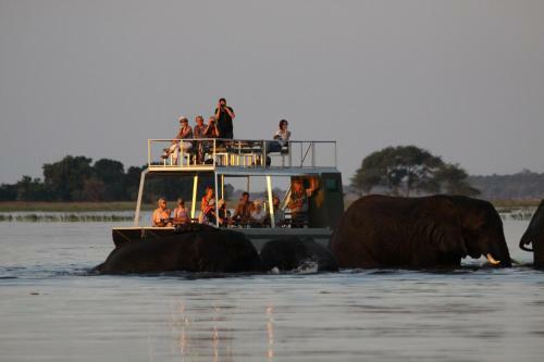 Lodge Chobe River Camp