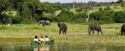 Lodge Chobe River Camp