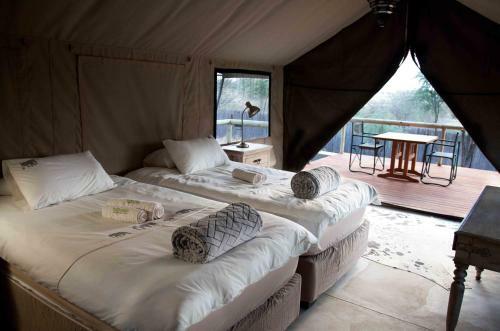 Taranga Safari Lodge