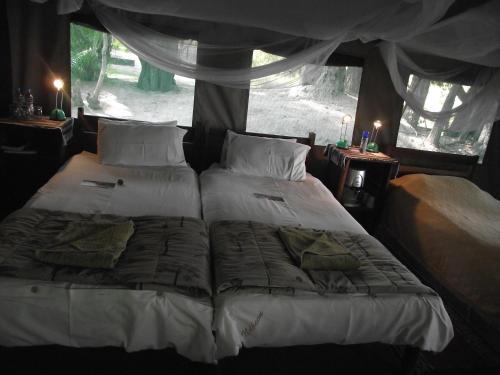 Ndhovu Safari Lodge