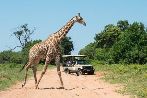 Lodge Chobe Water Villas