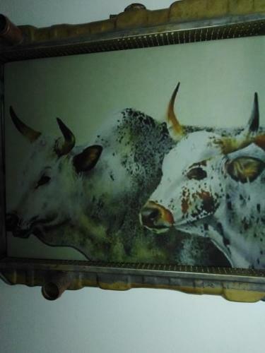 Hostal Die Windpomp Guesthouse