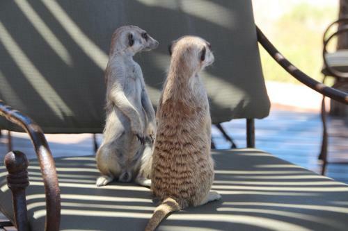 Kalahari Red Dunes Lodge