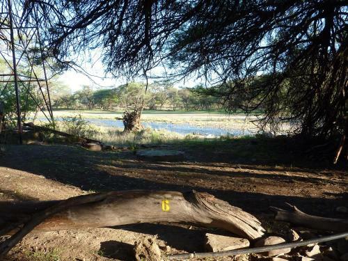Agroturismo D�sternbrook Guest Farm