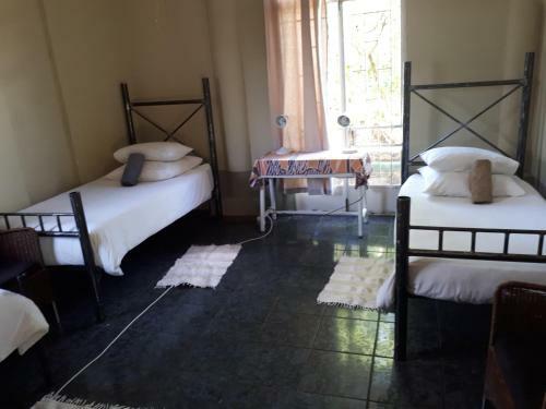 Bed & Breakfast Puccini House