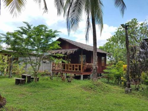 Hostal Coconut Guest House