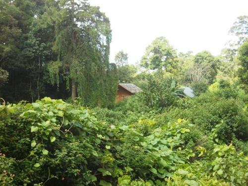 Bed & Breakfast Thitaw Lay House