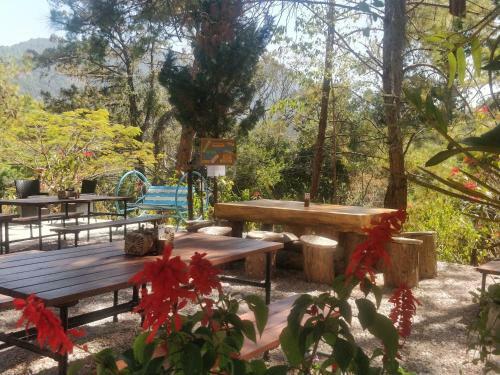 Bed & Breakfast Hillock Villa