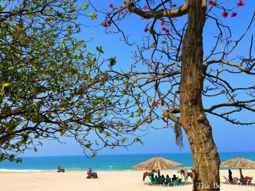 Coral Chaung Tha Beach Hotel