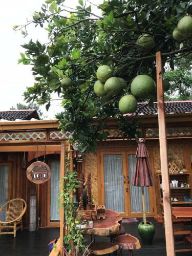 Albergue Cottage House