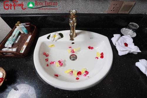 Hotel Royal Emerald River View Resort