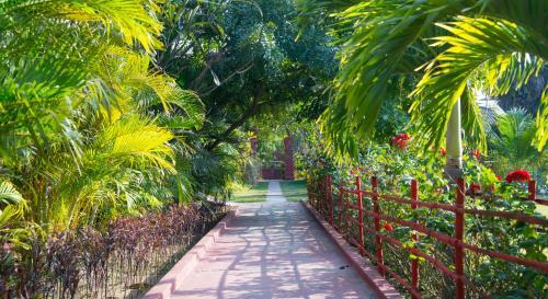 Gracious Bagan Hotel