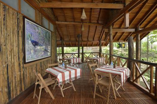 Hotel Bago Yoma Eco Resort