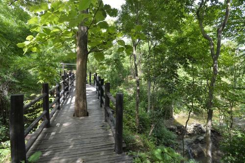Hotel Bago Yoma Eco Resort