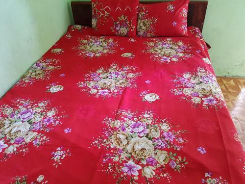 Hostal Eden Guest House-burmese Only