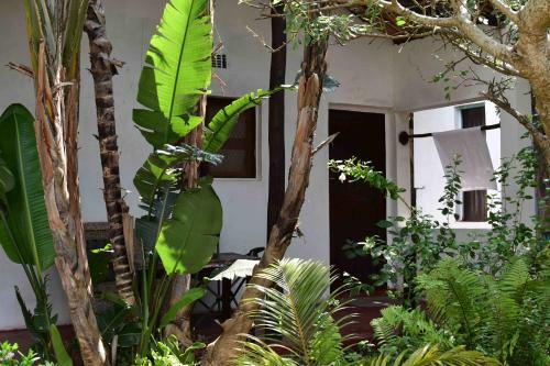 Gamboozini Lodge