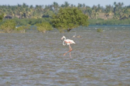 Khumbula Imozambique
