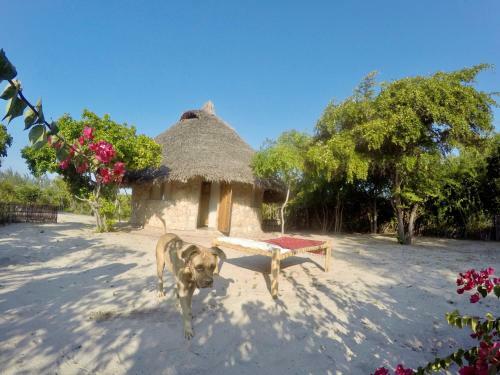 Bed & Breakfast Il Pirata