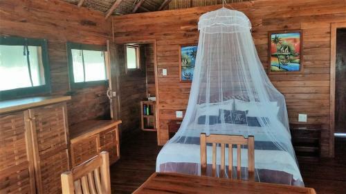 Pura Vida Lodge