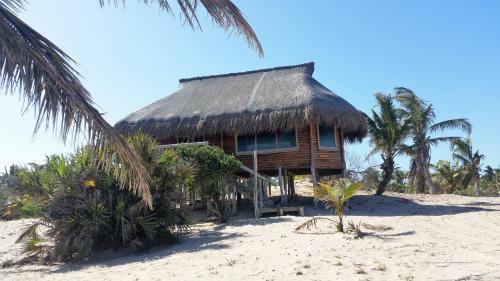 Pura Vida Lodge
