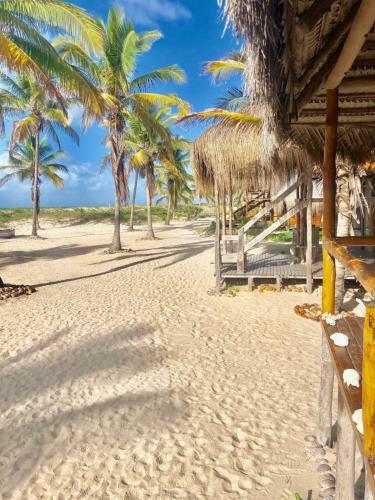 Pura Vida Lodge