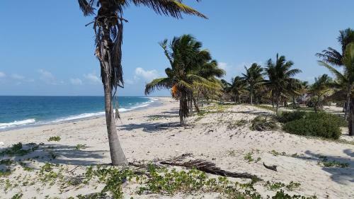 Pura Vida Lodge