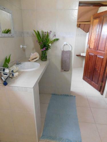 Hotel Situ Island