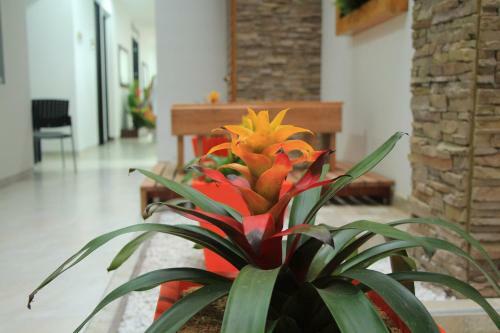 Hotel Kahv�