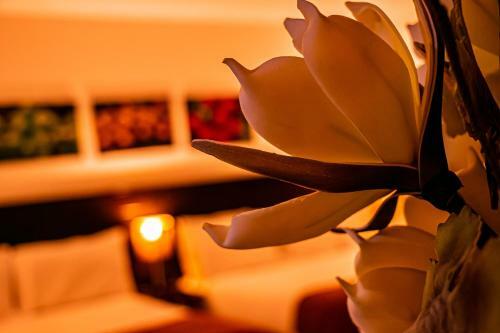 Hotel Kahv�