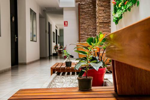Hotel Kahv�