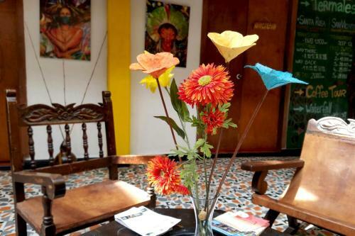 Hostal Coffee Town Hostel