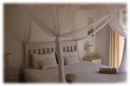 Hotel Reef Resort