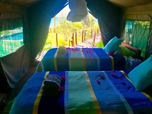 Eden Bay Eco Lodge