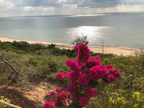 Eden Bay Eco Lodge