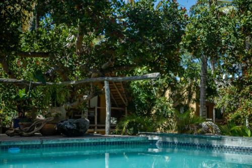 Turtle Cove Lodge