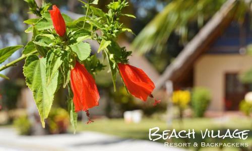 Albergue Beach Village Backpackers