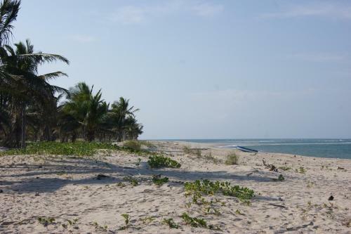 Pura Vida Lodge