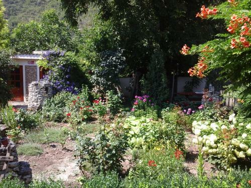 Hostal La Popas