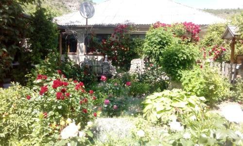 Hostal La Popas