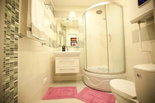 Apartment Miron Costin