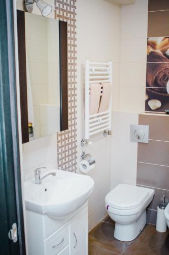 Apartment On Calea Iesilor 11/3