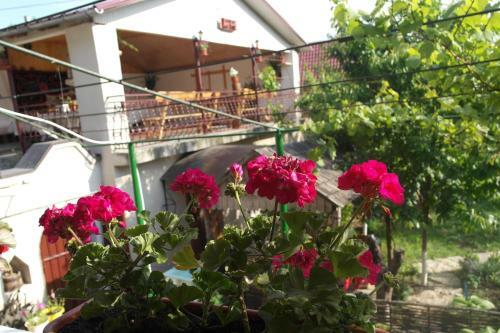 Hostal Casa De Sub Stinca