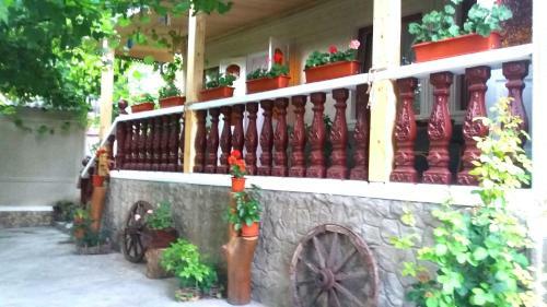 Hostal Casa De Sub Stinca